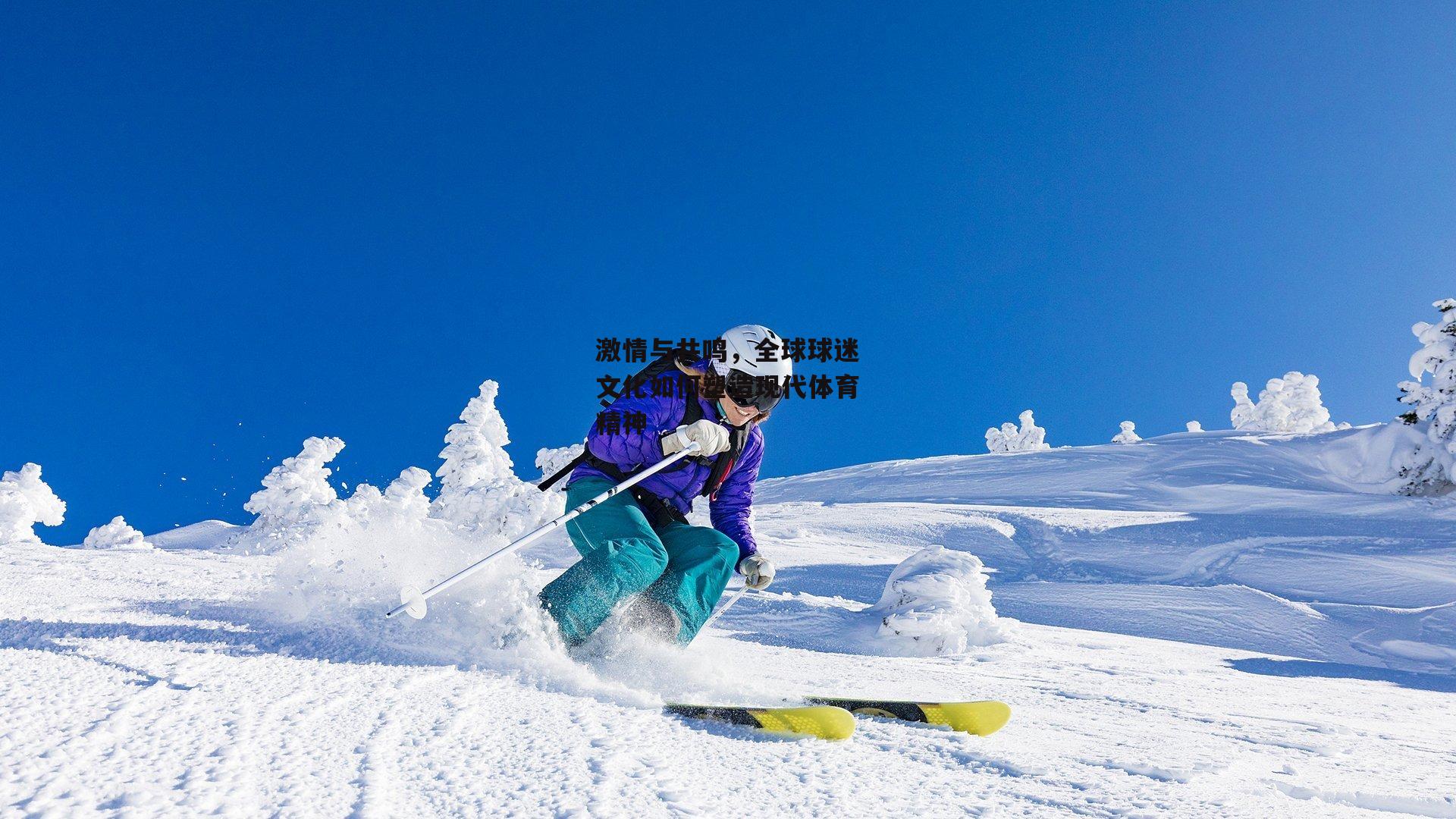 激情与共鸣，全球球迷文化如何塑造现代体育精神-1xbet官方