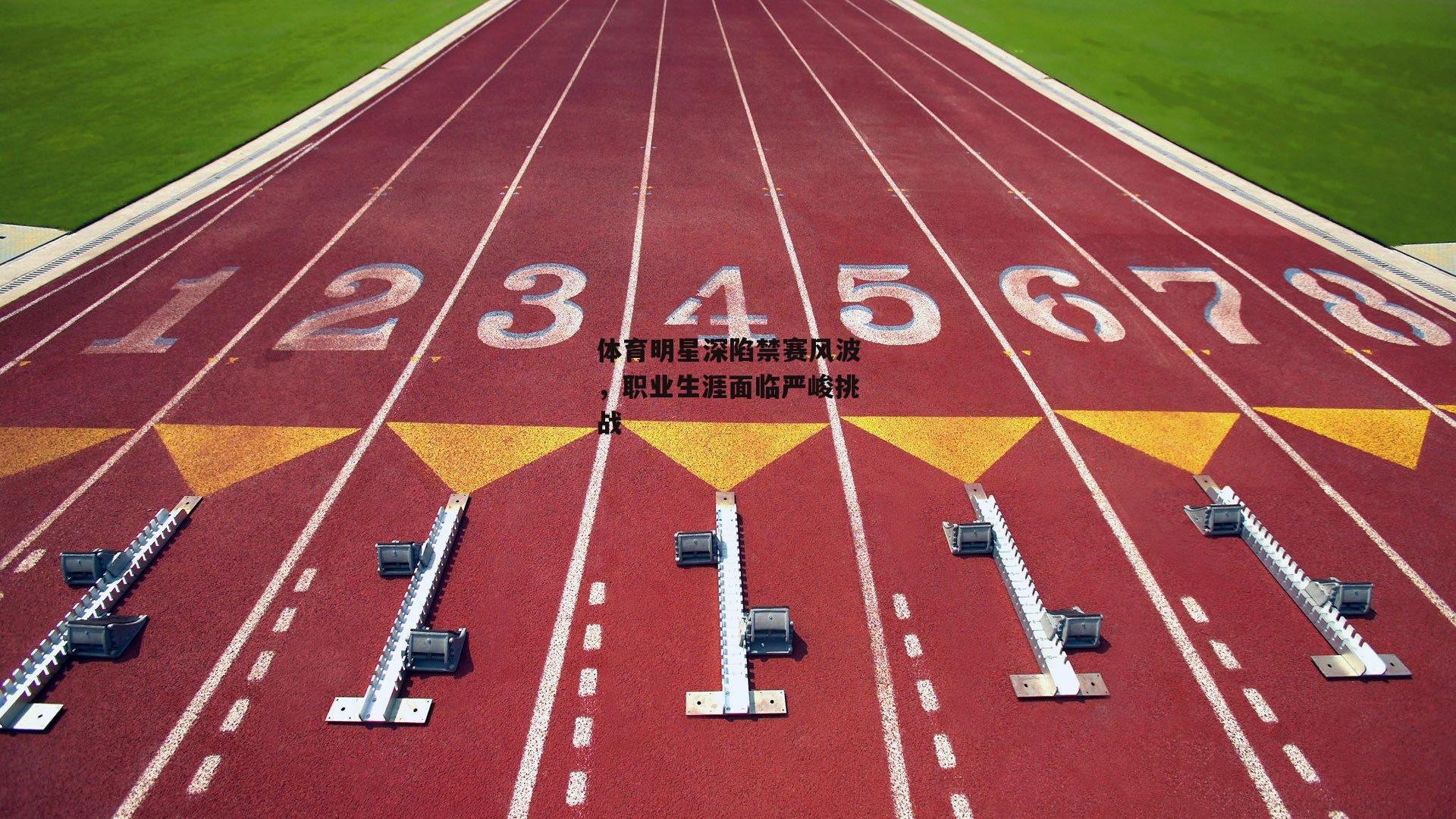 体育明星深陷禁赛风波，职业生涯面临严峻挑战