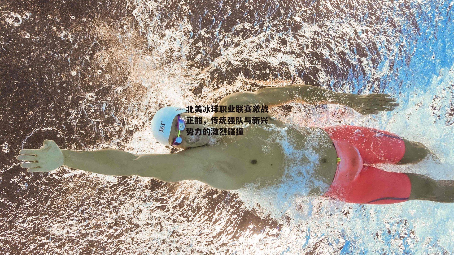 北美冰球职业联赛激战正酣，传统强队与新兴势力的激烈碰撞