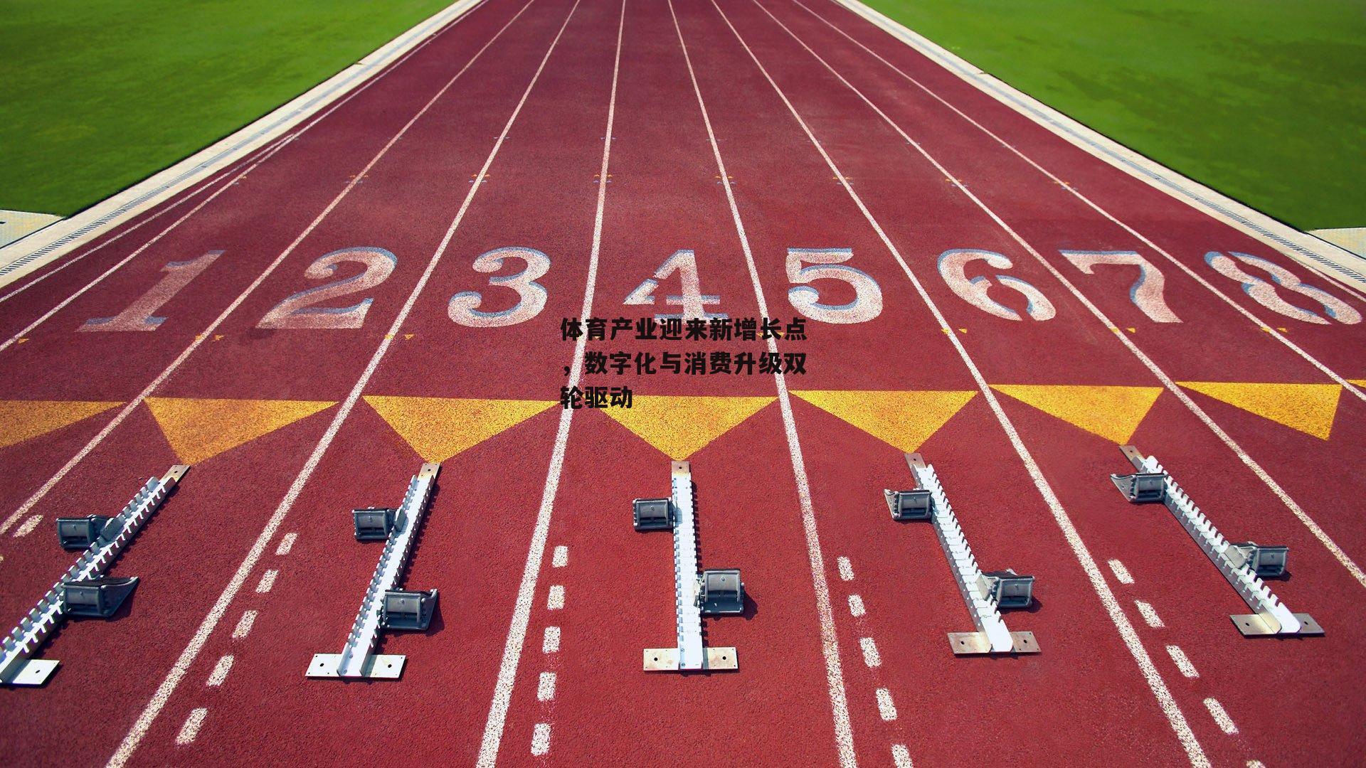体育产业迎来新增长点，数字化与消费升级双轮驱动